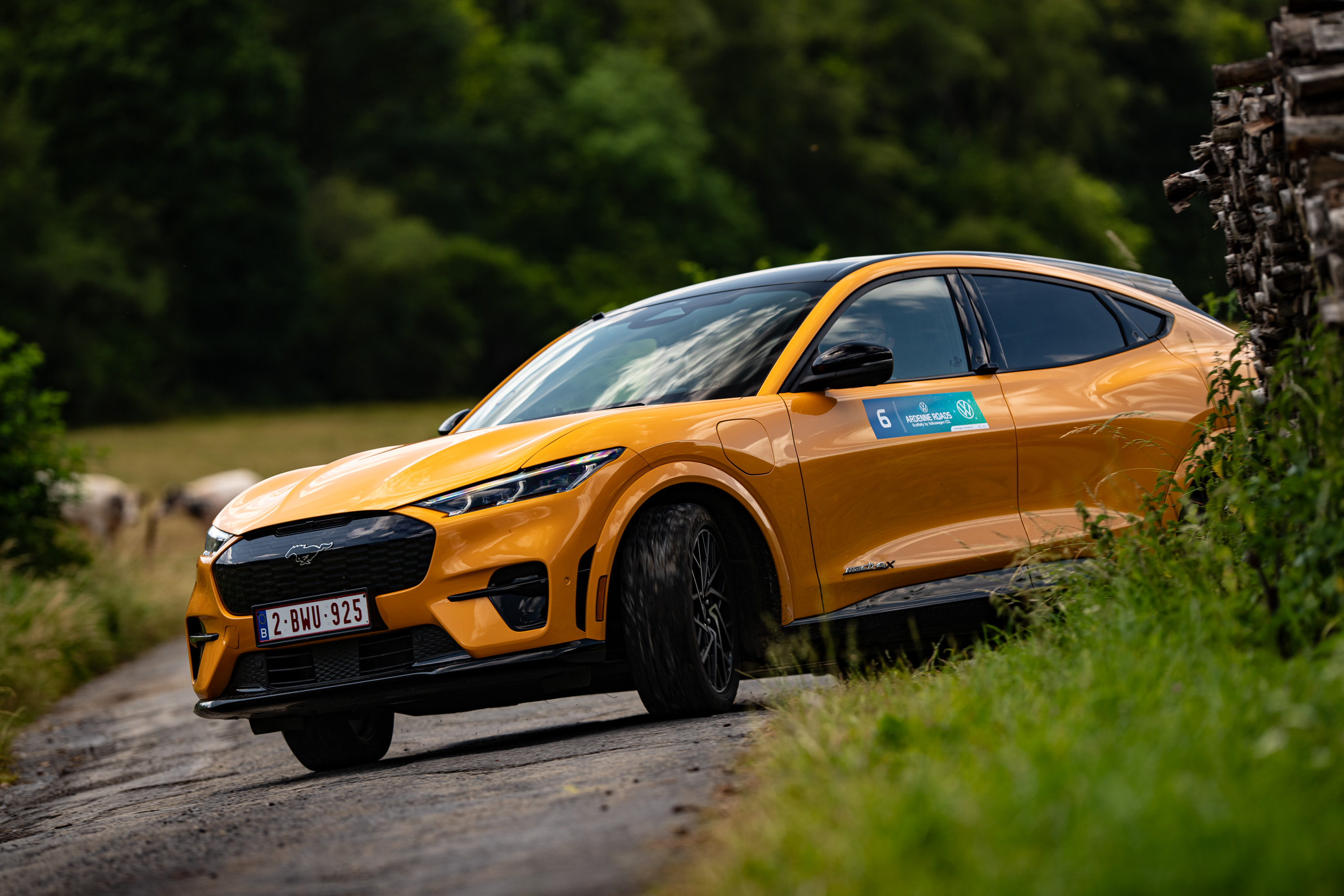 Vier Ford Mustang Mach-E In De Top 5 Van De Ardenne Roads EcoRally 2023 ...